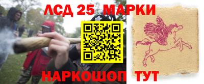 стафф Гатчина