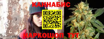 стафф Гатчина