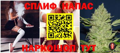 стафф Гатчина