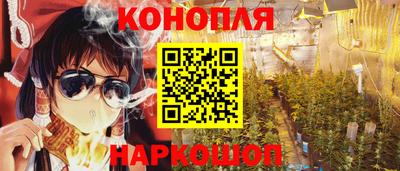 стафф Гатчина