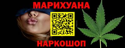 прущие грибы Гусиноозёрск