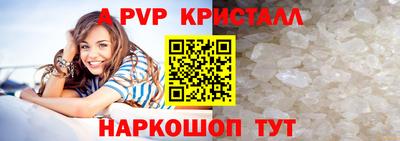 эйфоретик Гай