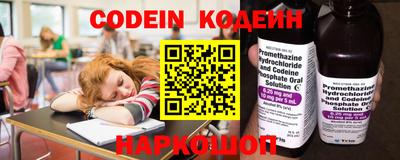стафф Гатчина