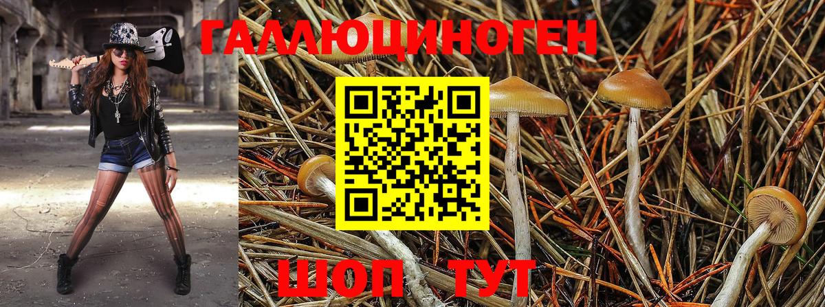 Дубна  Псилоцибиновые грибы Magic Shrooms  Вход с VPN 